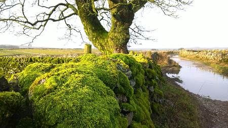 Tideswell Lane in the Peak District National Park